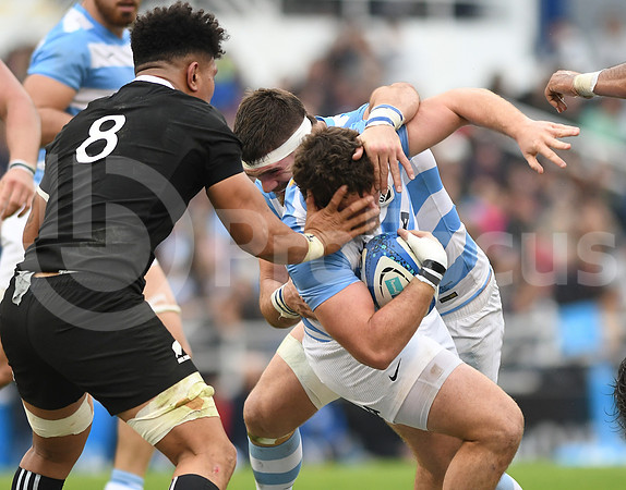 Rugby Championship 2019