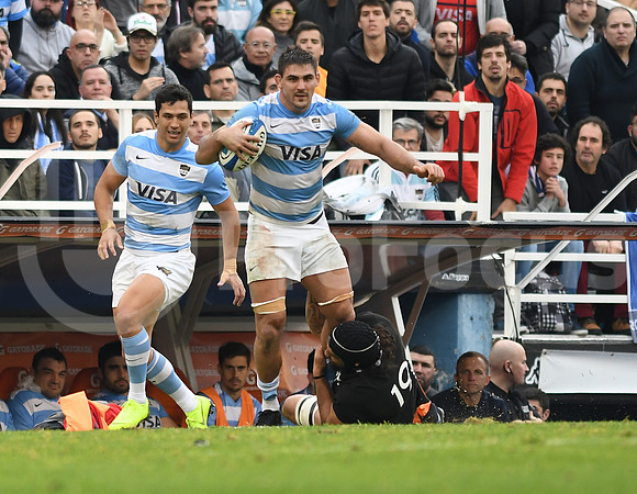 Rugby Championship 2019