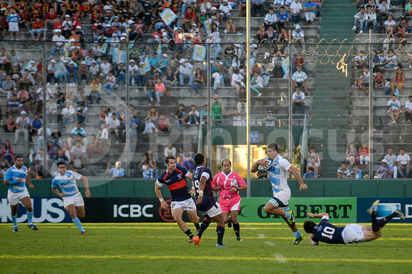 PUMAS EN SALTA