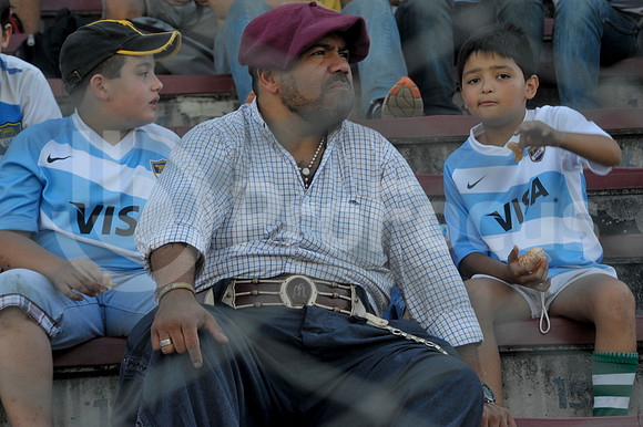 PUMAS EN SALTA