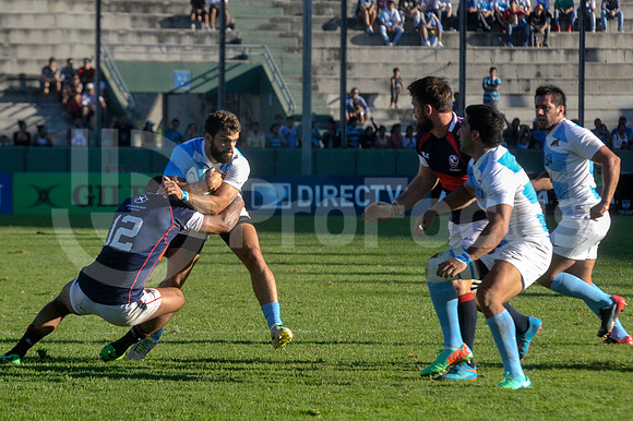 PUMAS EN SALTA