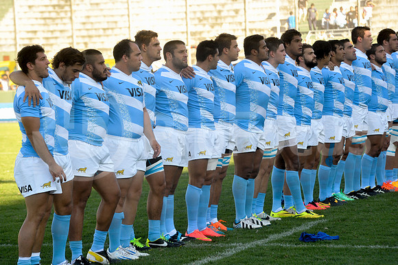 PUMAS EN SALTA