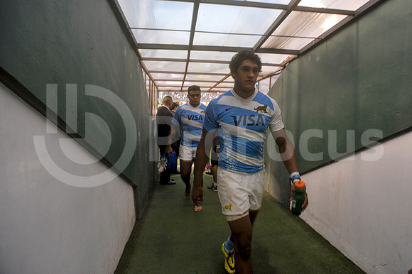 PUMAS EN SALTA
