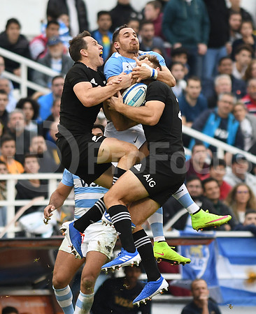 Rugby Championship 2019