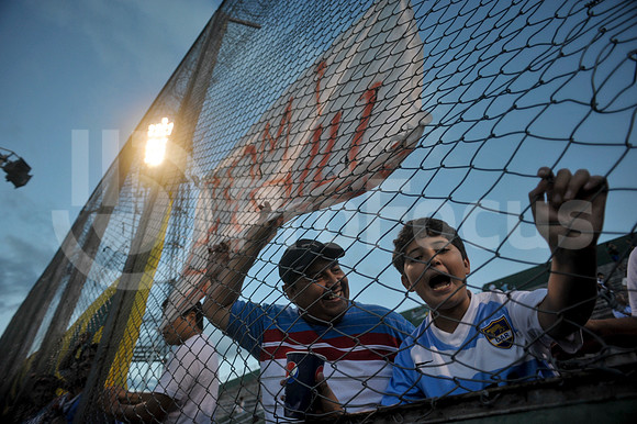 PUMAS EN SALTA