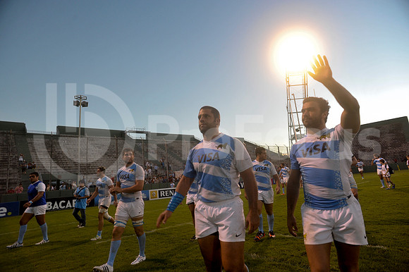 PUMAS EN SALTA