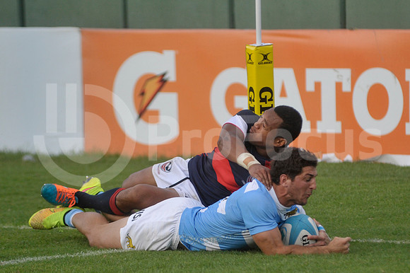 PUMAS EN SALTA