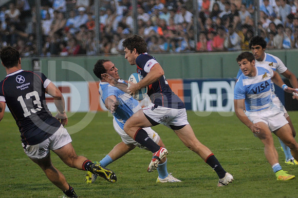 PUMAS EN SALTA