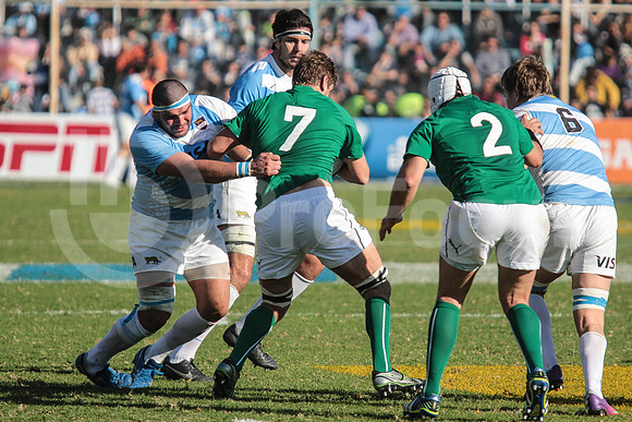Pumas Test Matches 2014