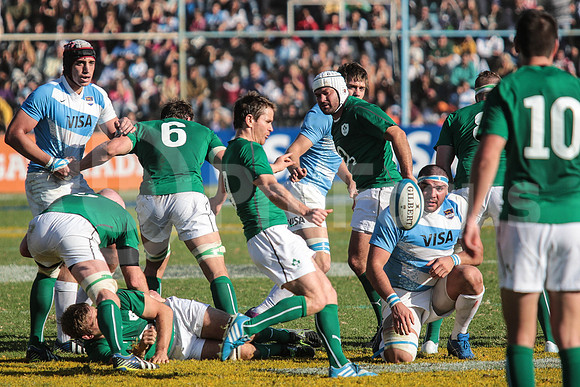 Pumas Test Matches 2014