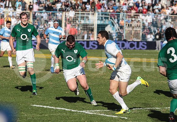 Pumas Test Matches 2014