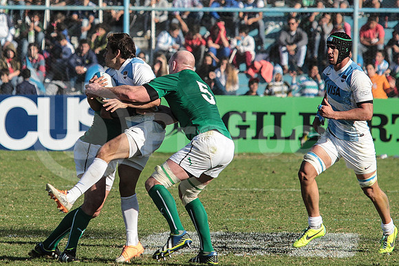 Pumas Test Matches 2014