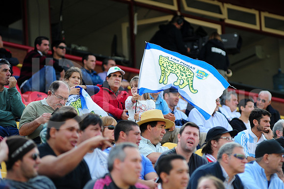 Test Match Pumas 2014