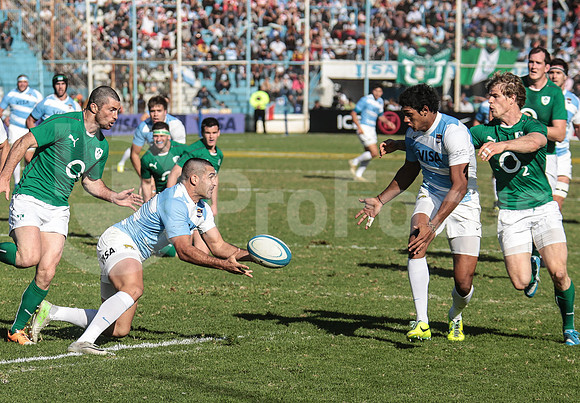 Pumas Test Matches 2014