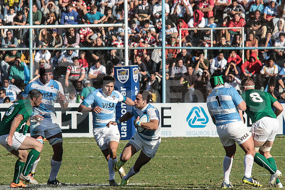 Pumas Test Matches 2014
