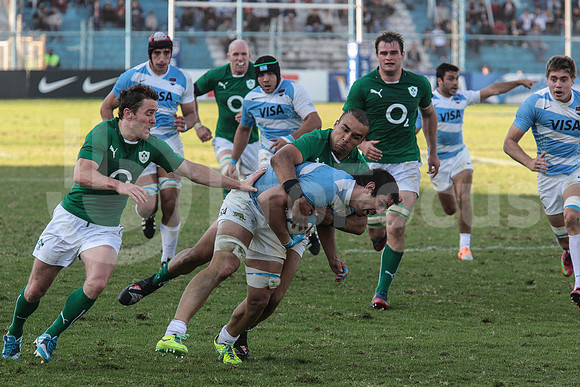 Pumas Test Matches 2014