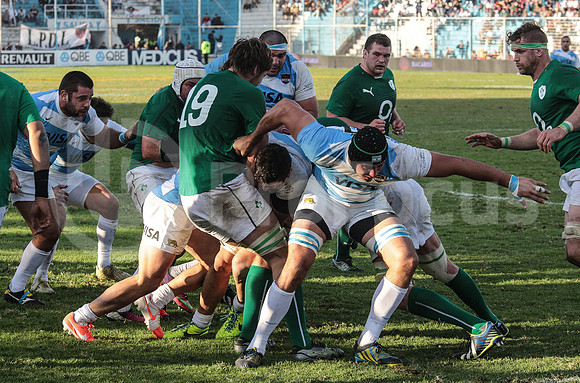 Pumas Test Matches 2014