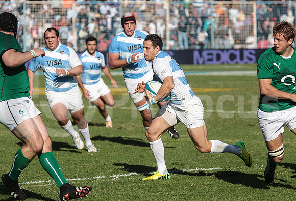 Pumas Test Matches 2014