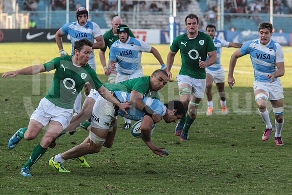 Pumas Test Matches 2014