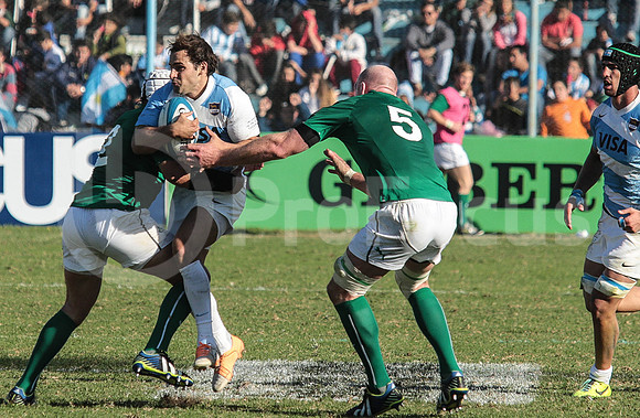 Pumas Test Matches 2014