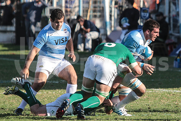 Pumas Test Matches 2014