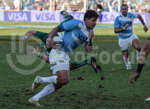 Pumas Test Matches 2014