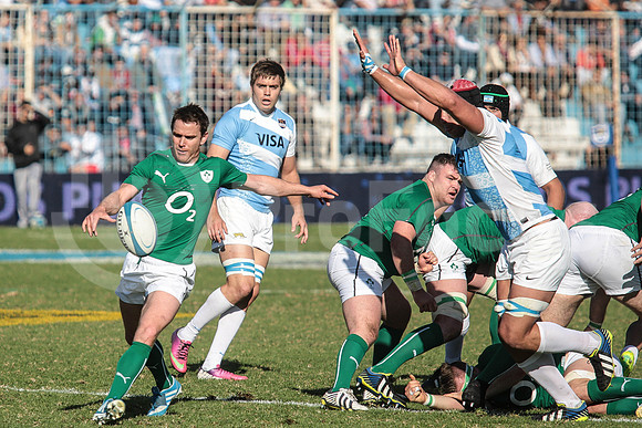 Pumas Test Matches 2014