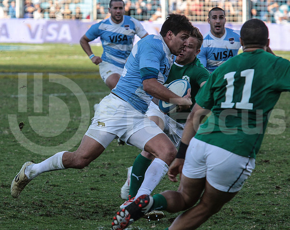 Pumas Test Matches 2014