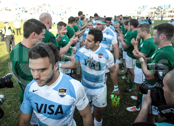 Pumas Test Matches 2014
