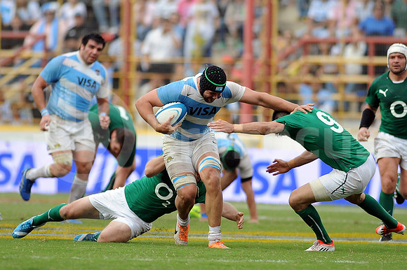 Test Match Pumas 2014