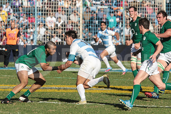 Pumas Test Matches 2014