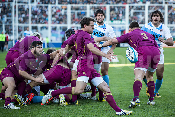 Pumas vs Inglaterra (Vélez)