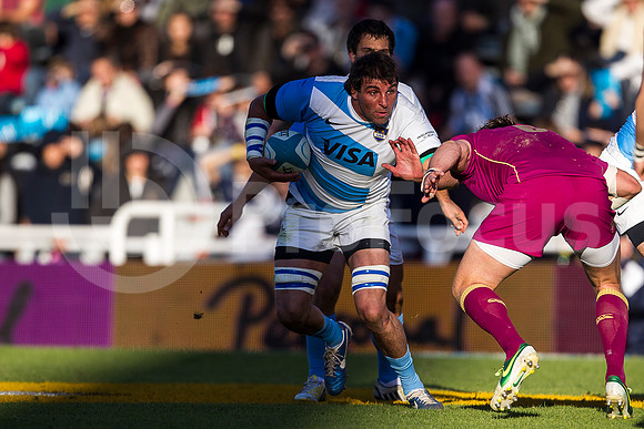 Pumas vs Inglaterra (Vélez)