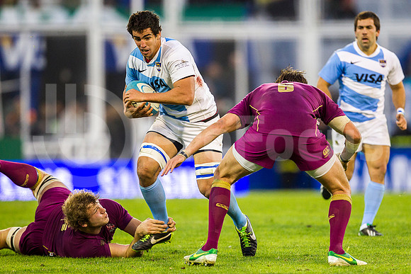 Pumas vs Inglaterra (Vélez)