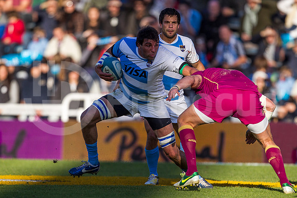 Pumas vs Inglaterra (Vélez)