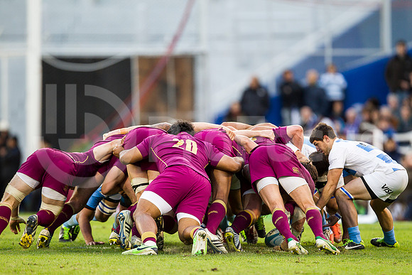 Pumas vs Inglaterra (Vélez)