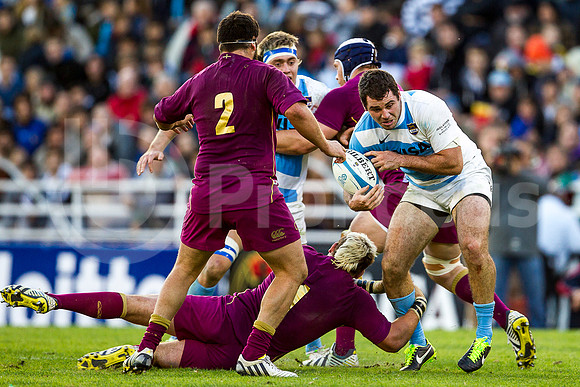 Pumas vs Inglaterra (Vélez)