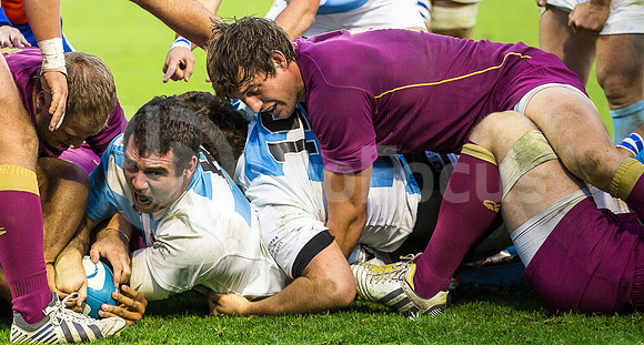 Pumas vs Inglaterra (Vélez)