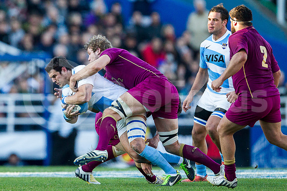 Pumas vs Inglaterra (Vélez)