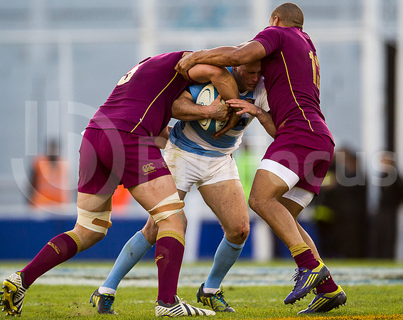 Pumas vs Inglaterra (Vélez)