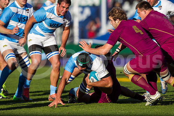 Pumas vs Inglaterra (Vélez)