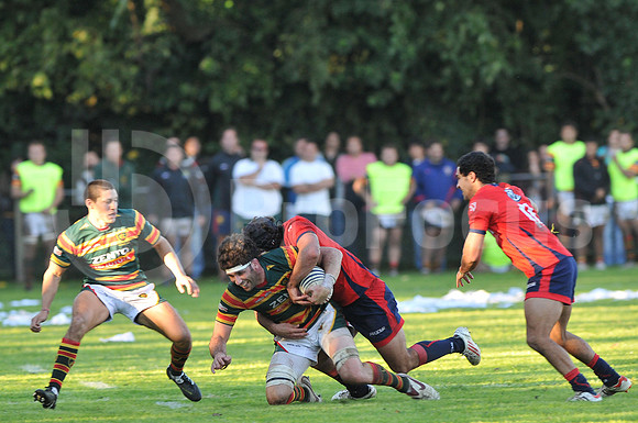 Pucara vs Lomas Athletic