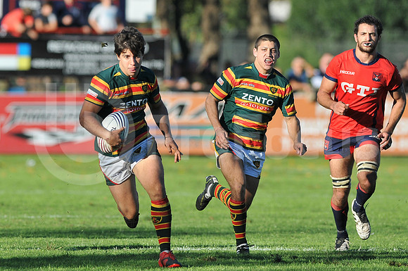 Pucara vs Lomas Athletic
