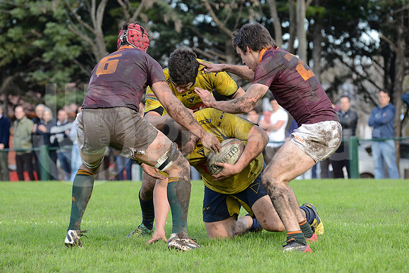 URBA TOP14 2015