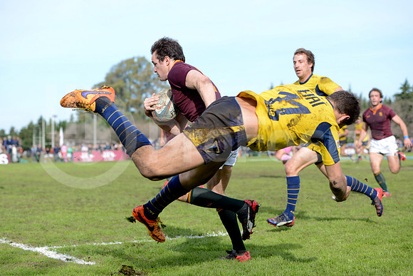 URBA TOP14 2015