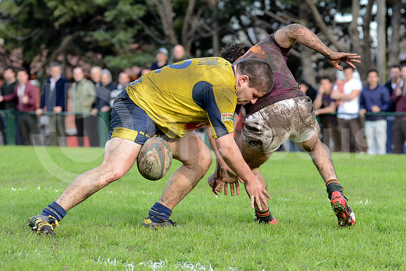 URBA TOP14 2015