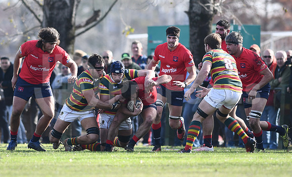 URBA Top12