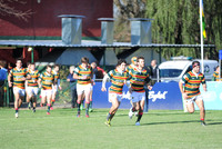 LOMAS VS NEWMAN