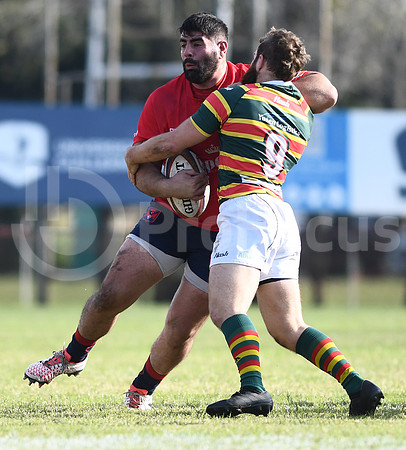 URBA Top12