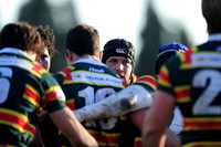 LOMAS VS NEWMAN